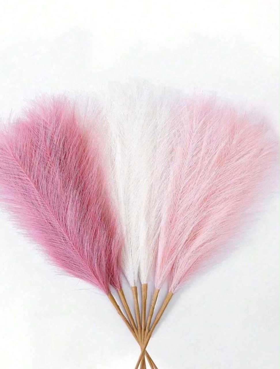 Pampas décoration Rose - Boutique